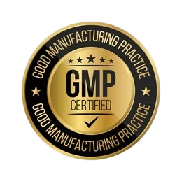 GMP Logo